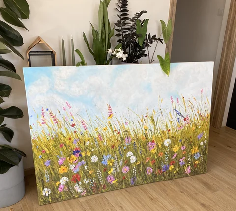 Colorful Meadows