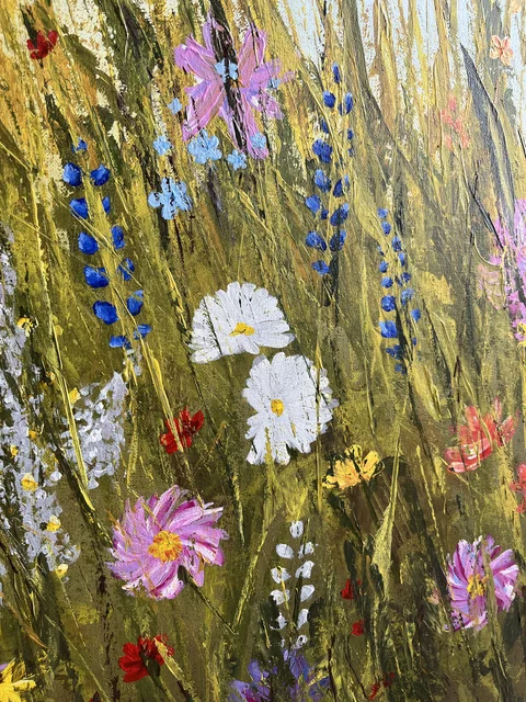 Colorful Meadows