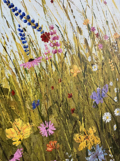 Colorful Meadows