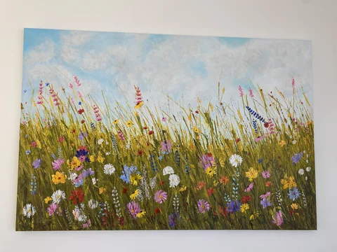 Colorful Meadows