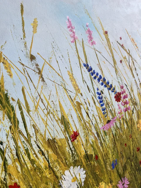 Colorful Meadows