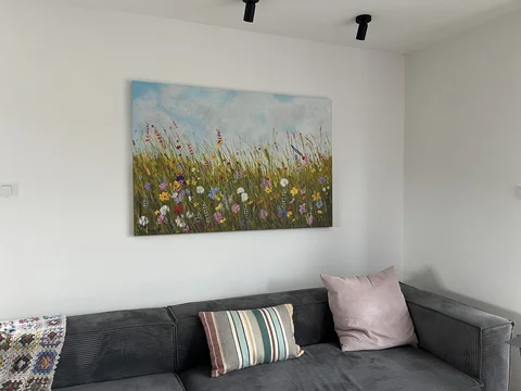 Colorful Meadows